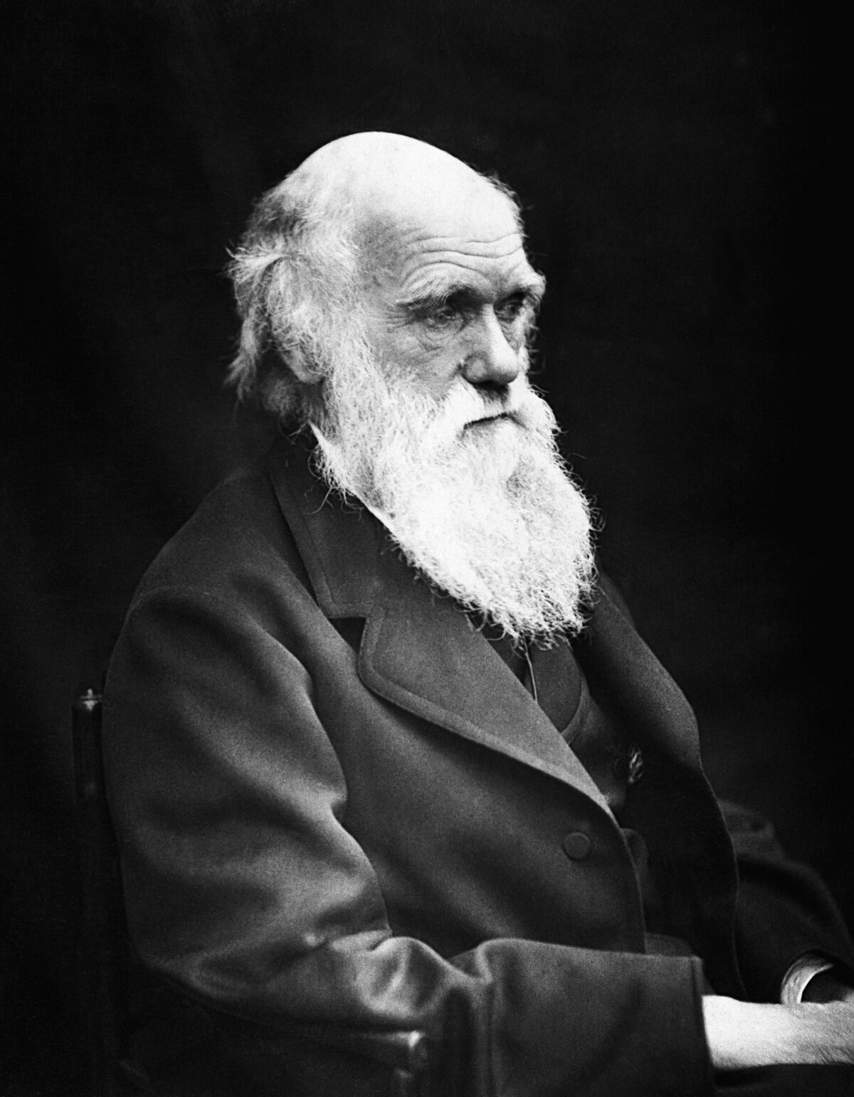 Charles Darwin is not dead