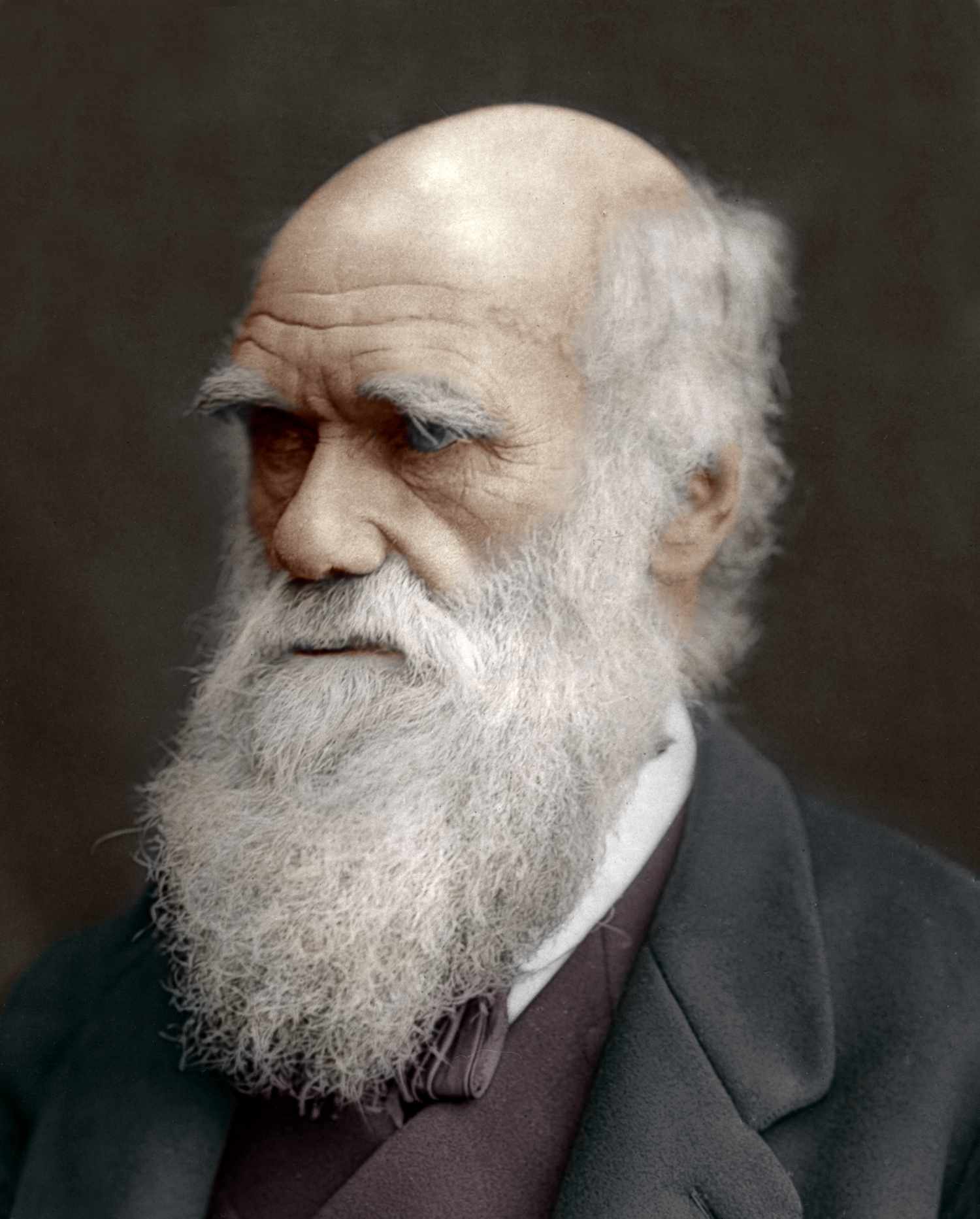 Charles Darwin alive and kicking