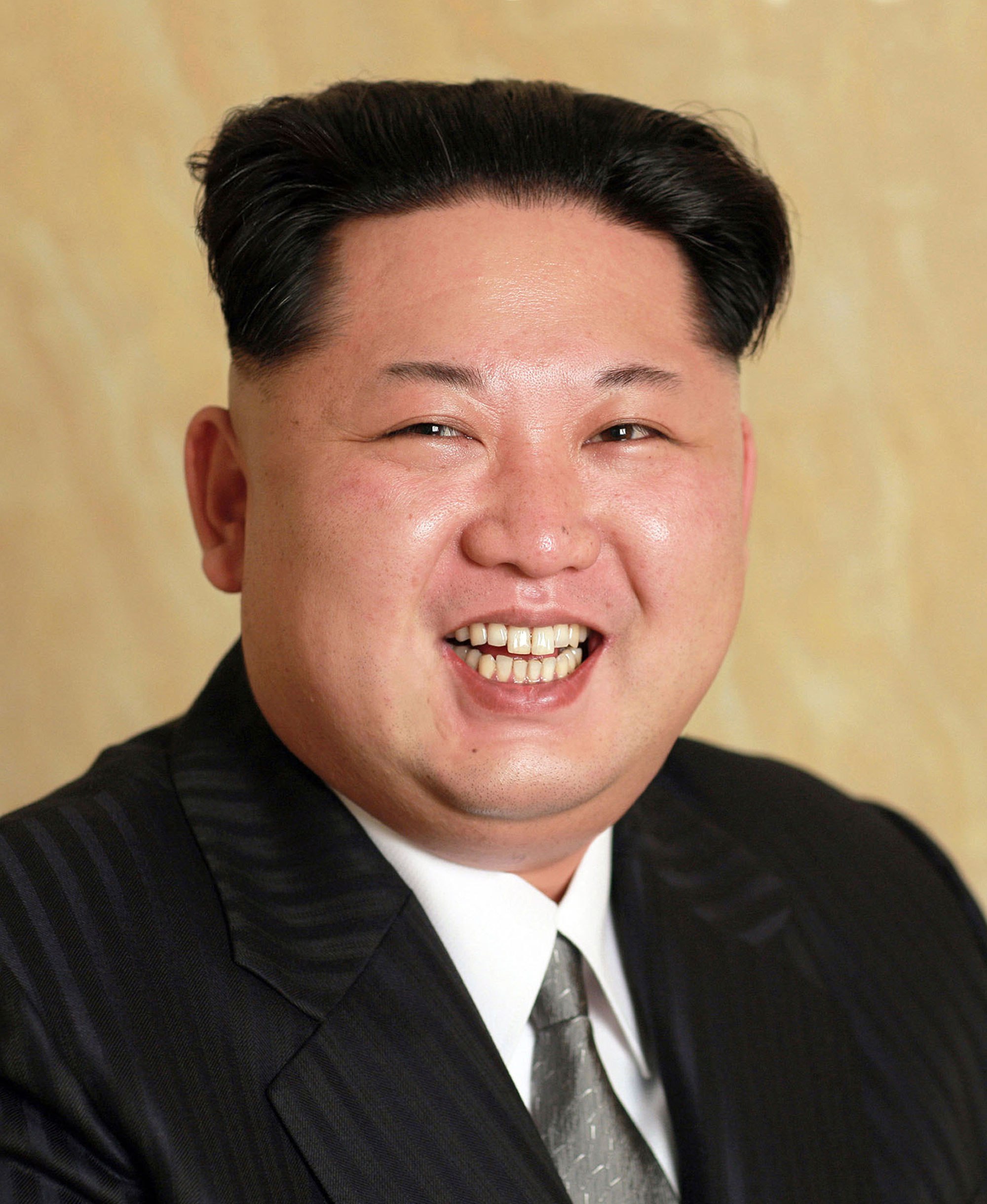 Kim Jong-un alive and kicking