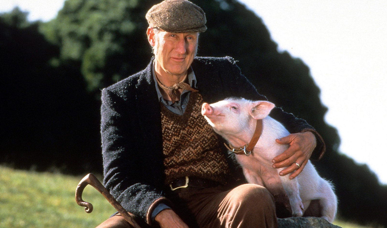 James Cromwell alive and kicking